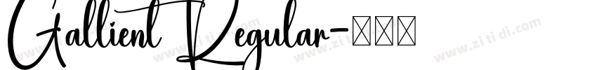 Gallient Regular字体转换
